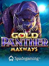 pp image
